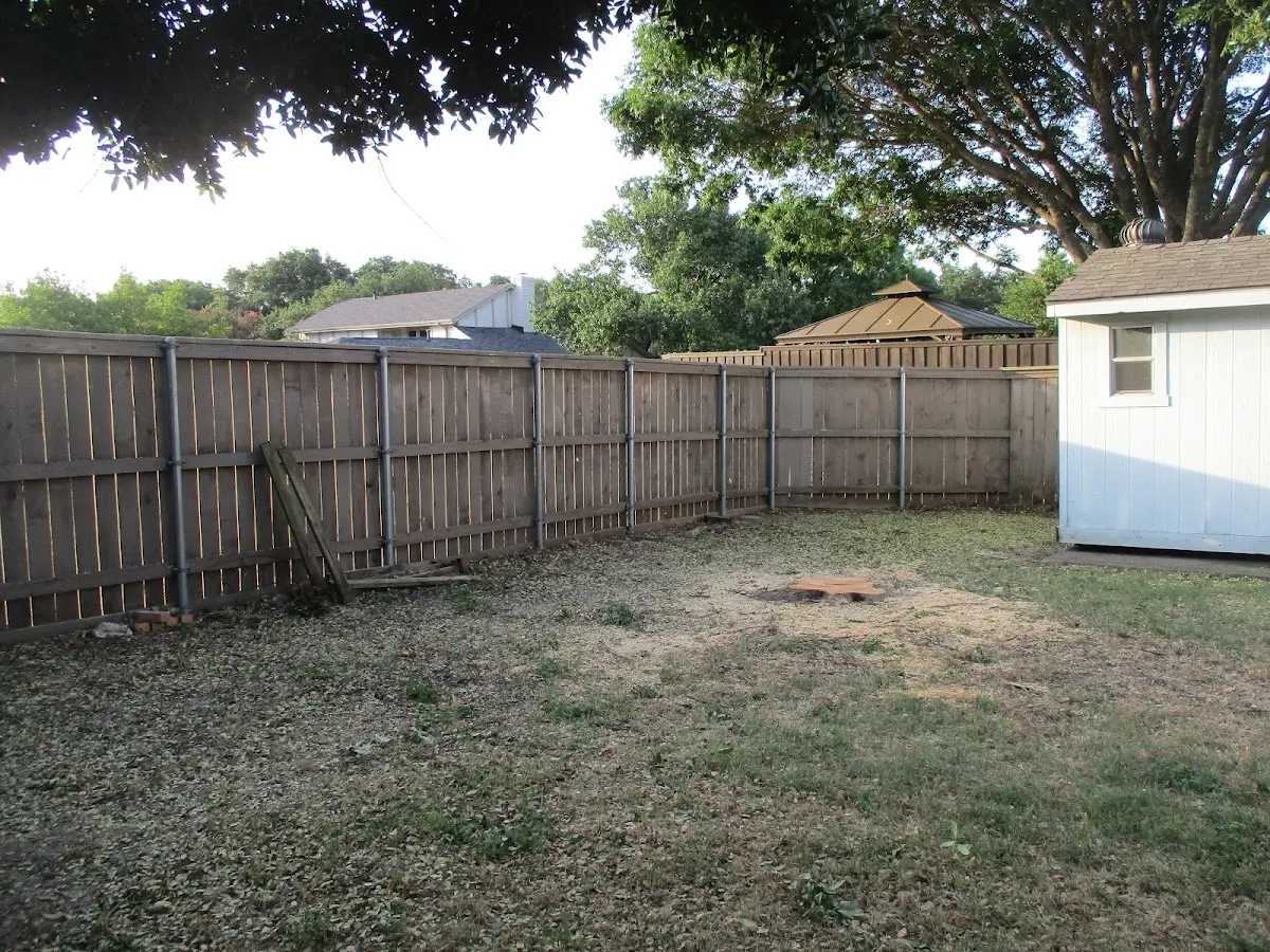 Cleared yard after professional tree removal in Johnsonburg