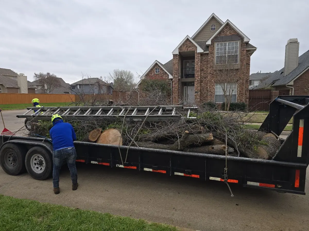Expert Tree Pest Control with proper safety equipment in Johnsonburg